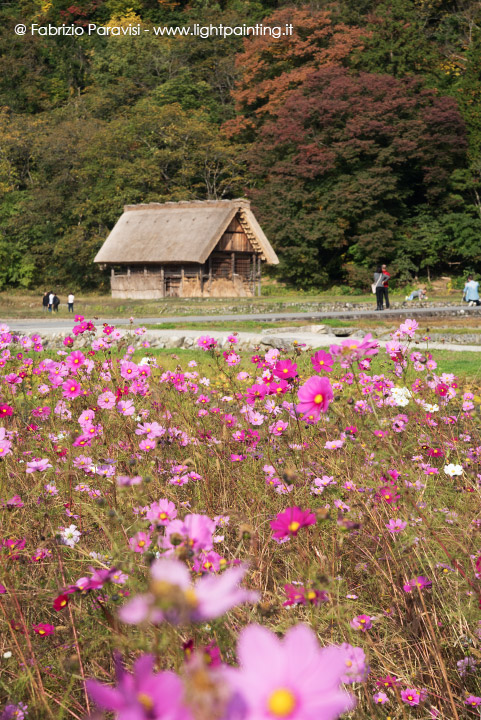 Shirakawago