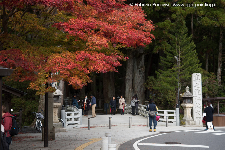 Monte Koya