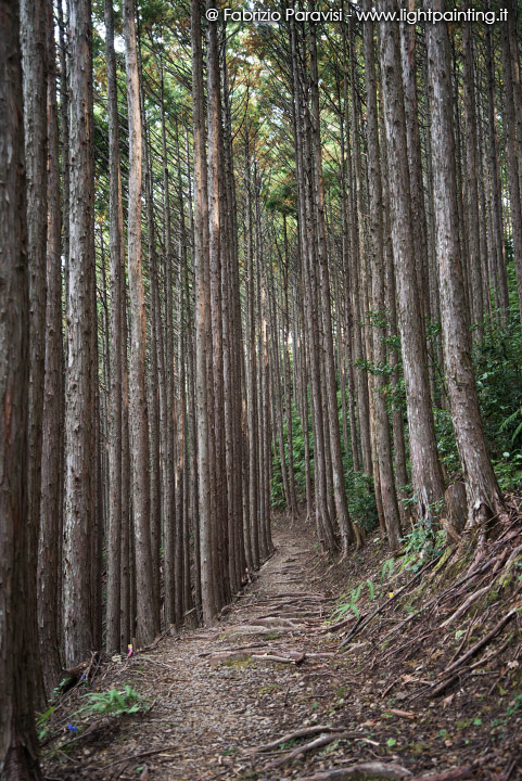 Kumano Kodo