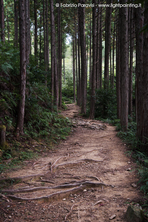 Kumano Kodo