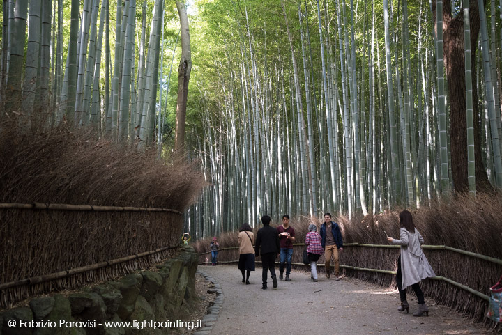 Arashiyama e Fushimi Inari Taisha