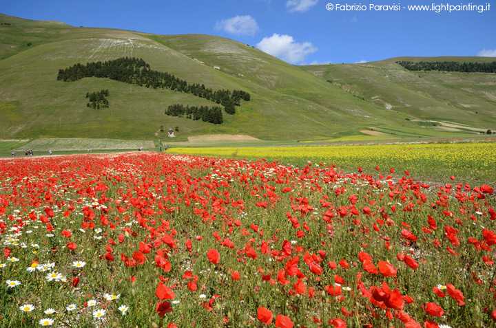 Castelluccio