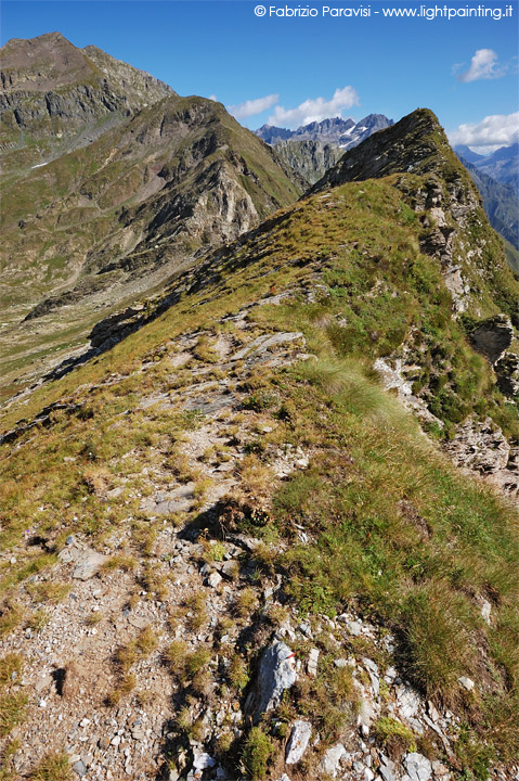 madonnino