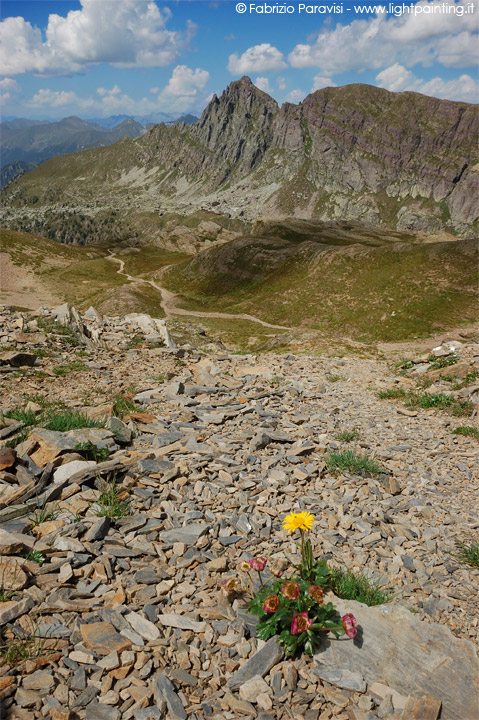 pradella